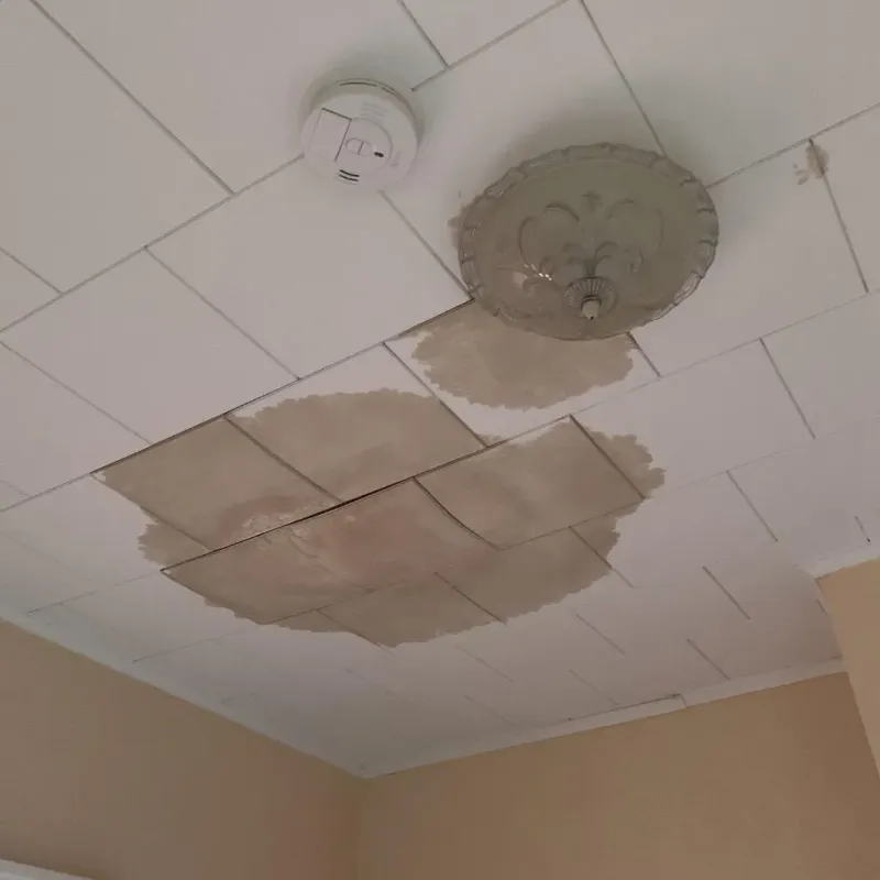 Ceiling Water Damage Repair in Midlothian, TX
