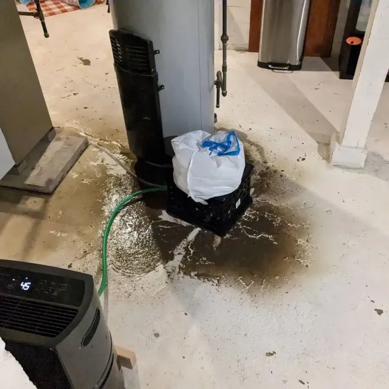 Sewage Backup Cleanup Service in Midlothian, TX